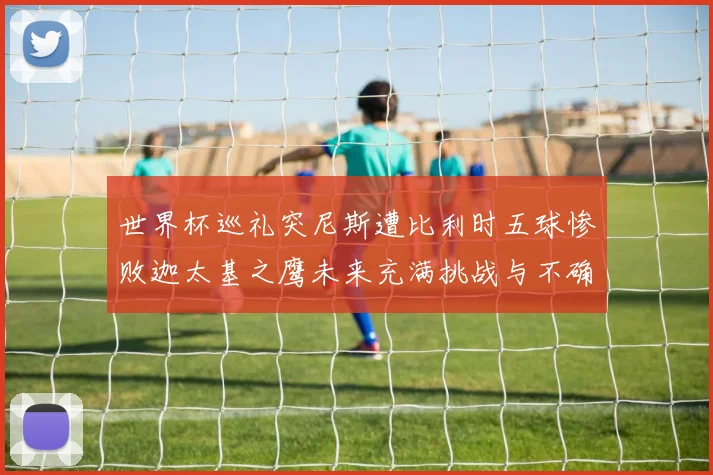 世界杯巡礼突尼斯遭比利时五球惨败迦太基之鹰未来充满挑战与不确定性