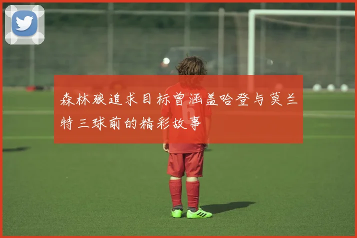 森林狼追求目标曾涵盖哈登与莫兰特三球前的精彩故事